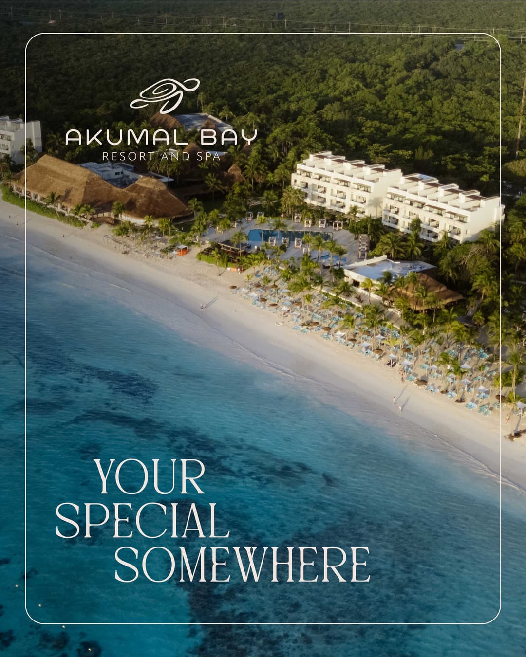 REBRANDING - Image 1