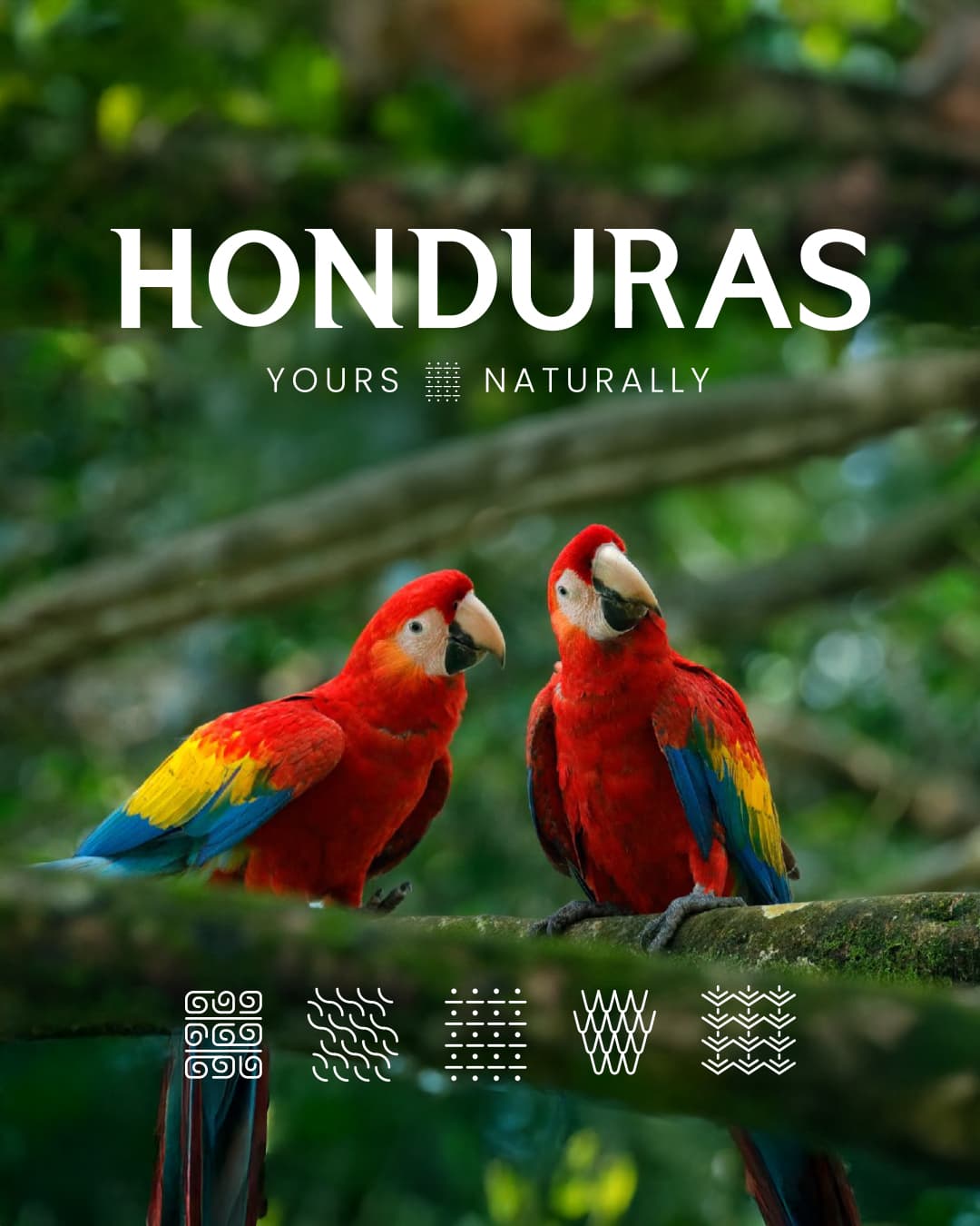 DESTINATION BRAND REBRANDING - Image 1